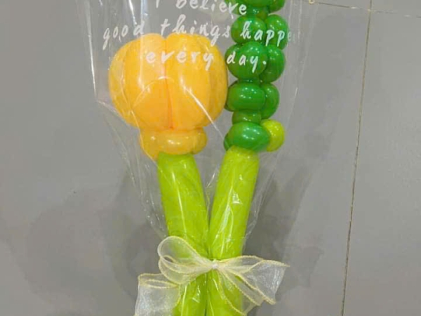 Các Mẫu Bong Bóng Nghệ Thuật Mới Năm 2026 – Chú Hề Biên Hòa